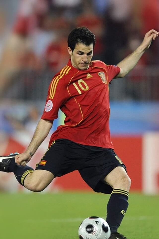 CESC FÀBREGAS — Spagna